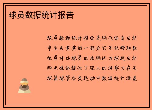 球员数据统计报告